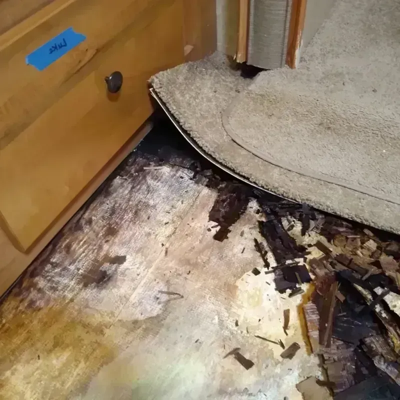 Wood Floor Water Damage in Seven Points, TX